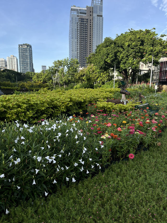  Santiphap Park – A Peaceful Escape in the Heart of Bangkok 🌇