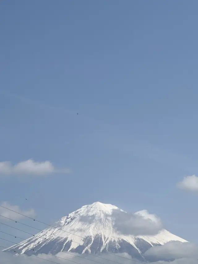 A Day Trip Near Tokyo!