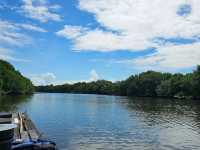 Outdoorgate Sepang Mangrove River Kayaking