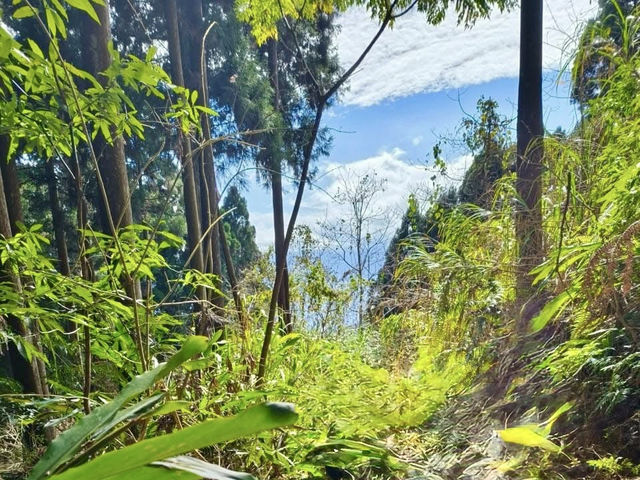 鵝公髻山步道看幸福雲海去
