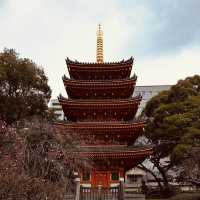 🕉️ Tōchō-ji Summer Survival Guide