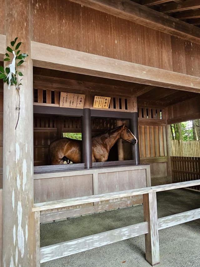 伊勢神宮內宮漫步記，馬匹、神社與清潭水🐎⛩️💧