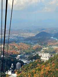 🚠乘纜車，穿越日本神戶六甲山的綠意時光