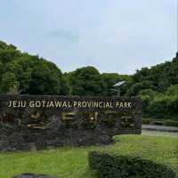 Nature Escape Vibes at Jeju Gotjawal Provincial Park