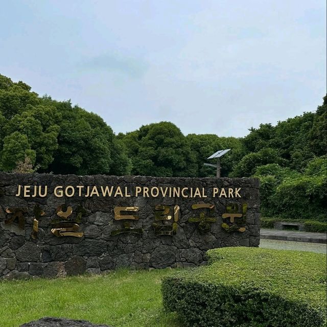 Nature Escape Vibes at Jeju Gotjawal Provincial Park