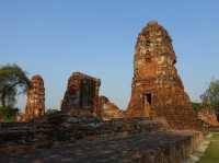 🌿 Whispers of the Past at Wat Mahathat, Ayutthaya