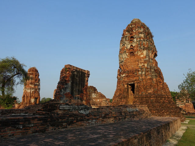 🌿 Whispers of the Past at Wat Mahathat, Ayutthaya