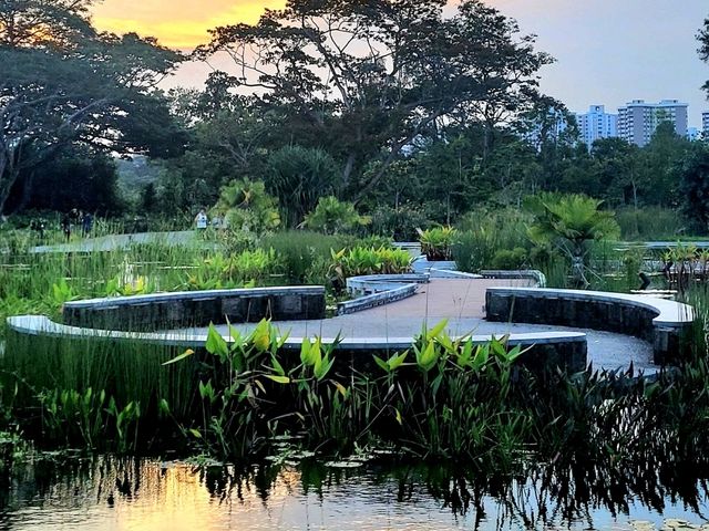 The variety of flora in the vast Water Lily Gardens