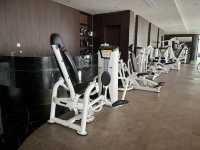 landison new hotel in 浦江