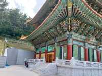 부산 도심 속 사찰, 삼광사🏮