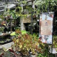 🎨 บ้านข้างวัด – ชุมชนสายคราฟต์ ใจกลางเชียงใหม่