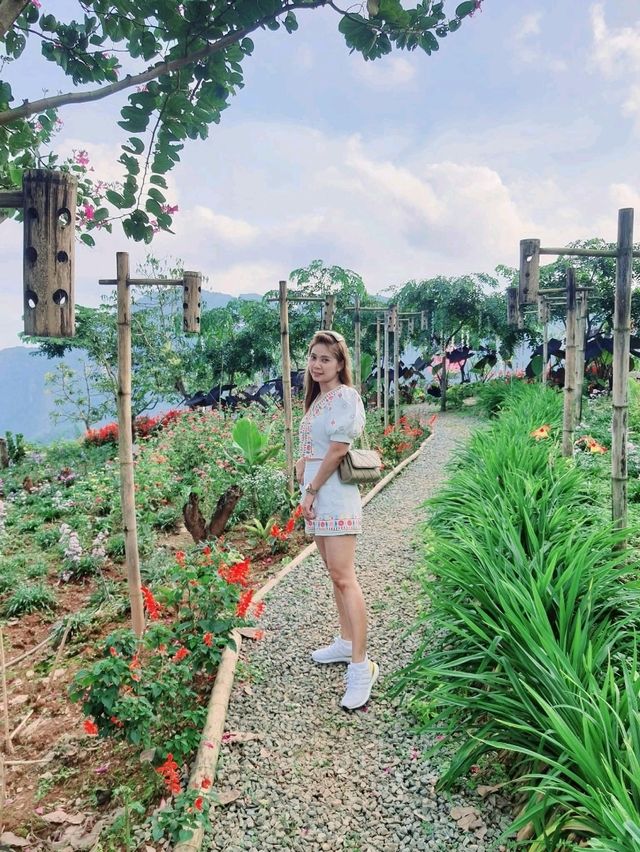 สะพานไม้ไผ่ผาฮี้ 