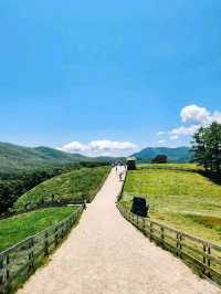 Chill Out With Sheep at Daegwallyeong Sheep Ranch