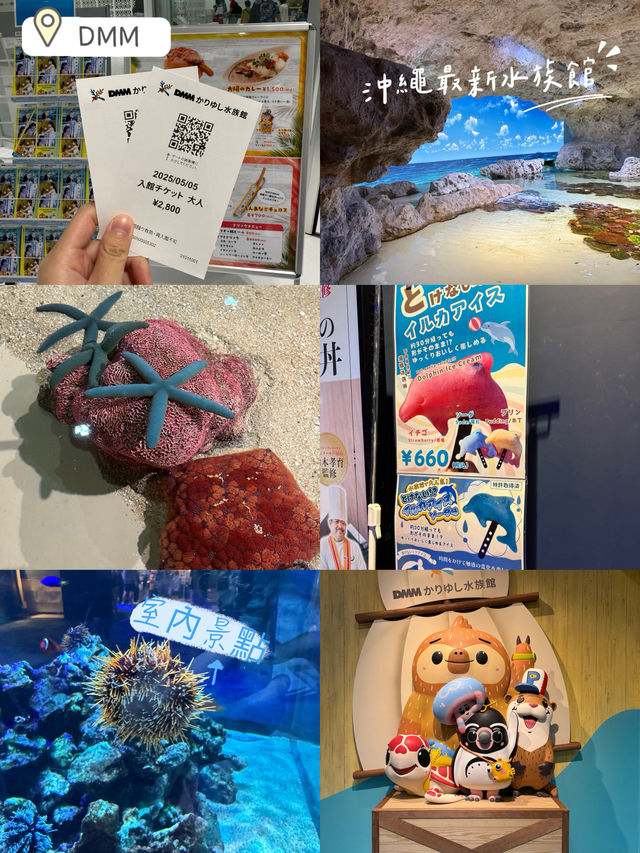 沖繩最新商場水族館🫶🏻DMM🫡超岩親子遊