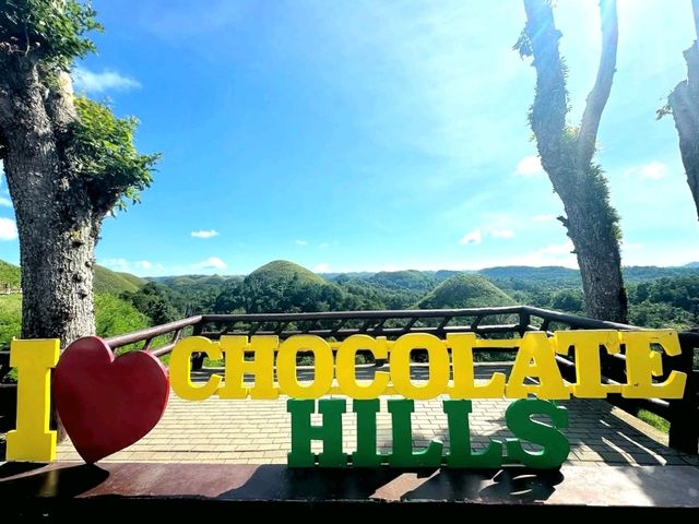Sweet Views at Chocolate Hills