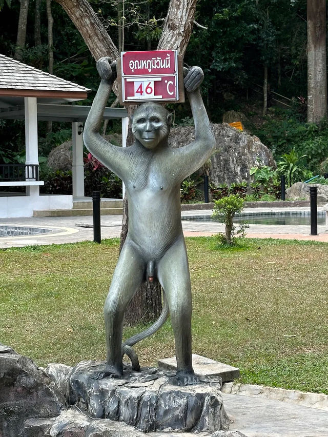 Hot Spring with the taste of Nature