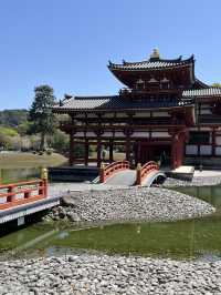 🏯🌸 Byōdō-in Temple – Heaven Reflected in Water