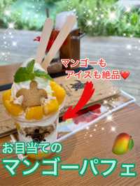 【沖縄/宮古島】ここのマンゴーは絶対食べとかないと!!