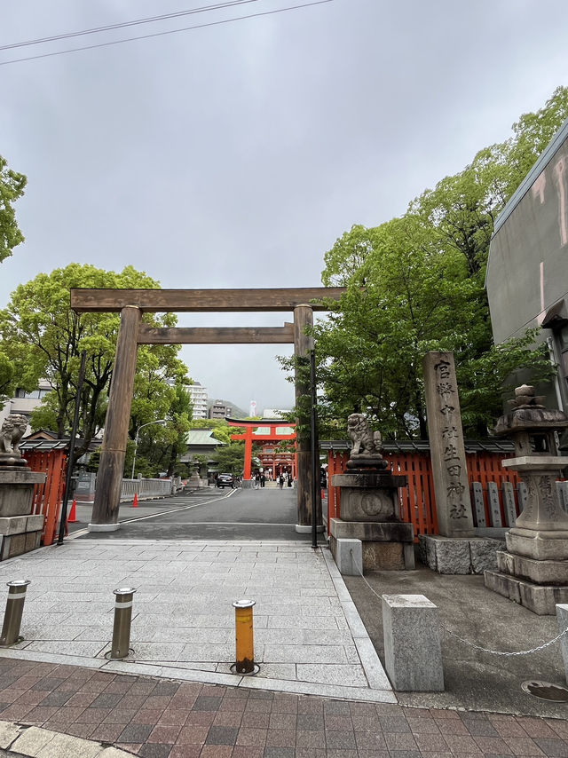 🦌⛰️✨ Quick Guide – Mount Wakakusa & Ikuta Shrine