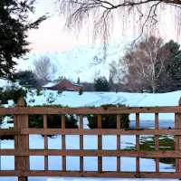 Winter Wonderland in Tekapo New Zealand!