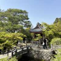 🍵⛩️🏮 Strolling Through Ninenzaka & Sannenzaka – Kyoto’s Timeless Slopes