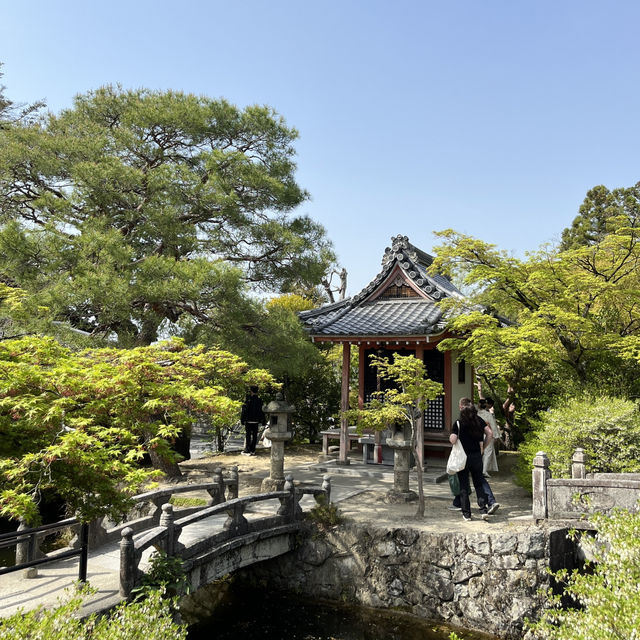 🍵⛩️🏮 Strolling Through Ninenzaka & Sannenzaka – Kyoto’s Timeless Slopes