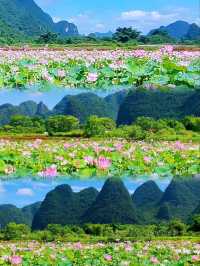 遇龍河十里畫廊騎行