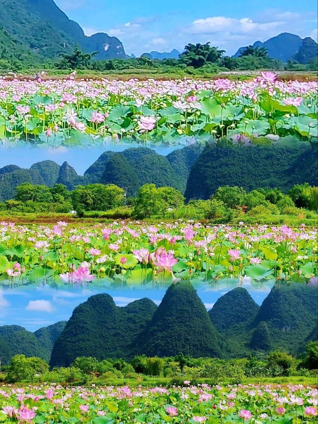 遇龍河十里畫廊騎行