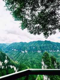 Visiting the 6th Highest Bridge in the World