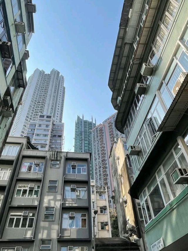 🏙️🌿 Little Tai Hang – A Stylish Hideaway in the Heart of Hong Kong 🇭🇰✨
