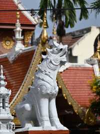 The Phae Gate: Where Ancient Bricks Pulse With Modern Life!