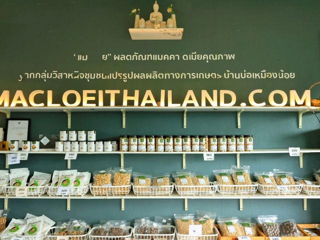 แมคเลย ร้านกาแฟ และศูนย์แปรรูปแมคคาเดเมีย
