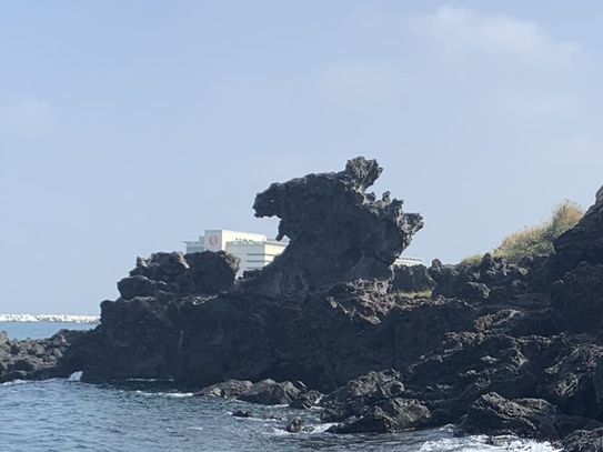 📍Quick Stop at the Dragon’s Head – Yongduam Rock, Jeju