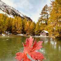 🏔️ Solo Alpine Escape: Swiss Summer Magic