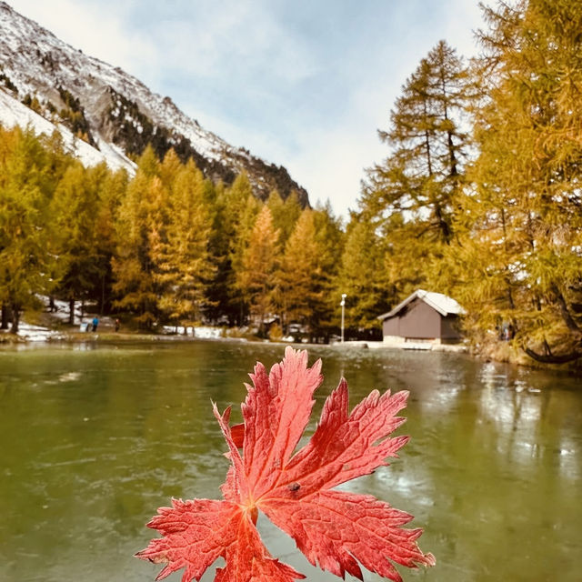 🏔️ Solo Alpine Escape: Swiss Summer Magic