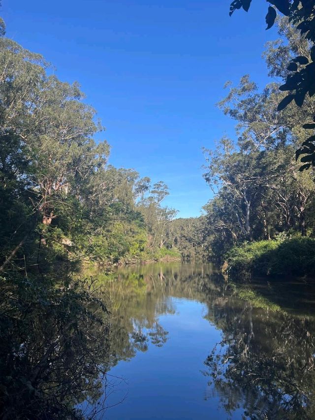 Lane Cove National Park – Sydney