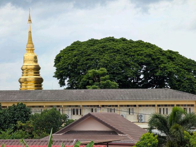 Kalm Village: Chiang Mai's Hidden Gem of Art & Culture