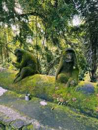 Guardians of the Forest: Ubud Monkey Forest’s Sacred Heart