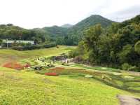 臺北內湖大溝溪親水步道 圓覺瀑布 親子好去處