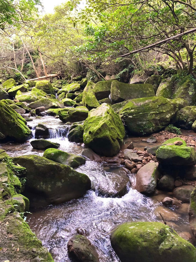 臺北內湖大溝溪親水步道 圓覺瀑布 親子好去處