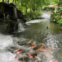 🌳☕ TopTen Forest – คาเฟ่ในสวนเขียวกลางอ่างทอง 
