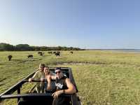Habarana Elephant Safari