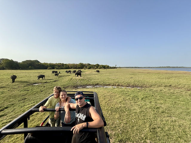 Habarana Elephant Safari