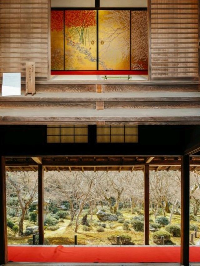 4個京都⛩️🇯🇵小眾寺廟漫遊路線 🌿