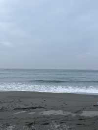 🚄 Daytrip Vibes: From Taipei to Kaohsiung, Then Across the Sea to Qijin 🌊🌴