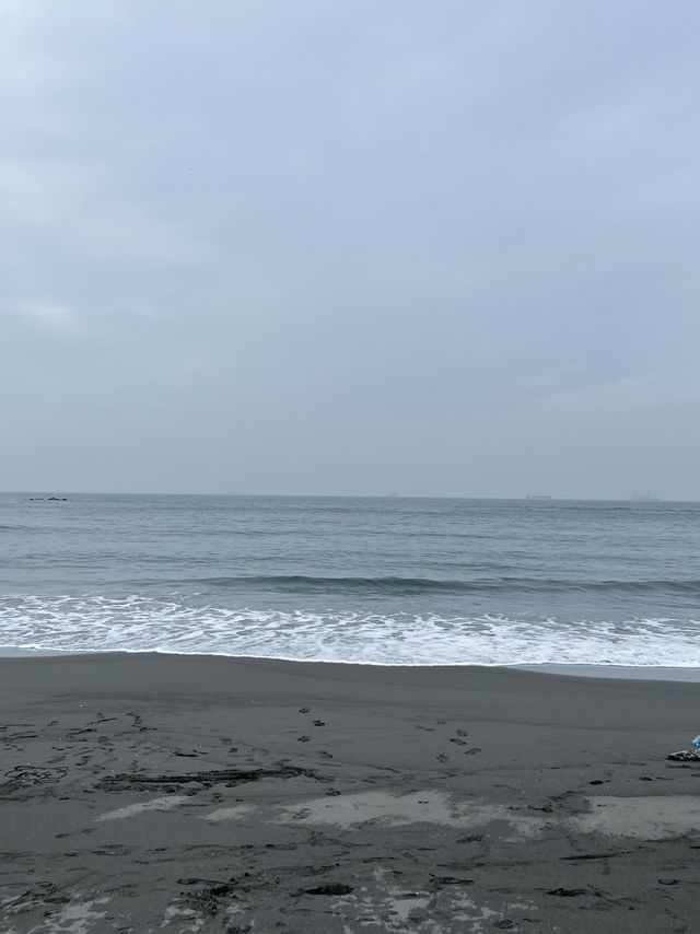 🚄 Daytrip Vibes: From Taipei to Kaohsiung, Then Across the Sea to Qijin 🌊🌴