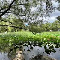 🌿 Exploring Hohhot’s Green Heart — Qingcheng Park (青城公园) 🌿