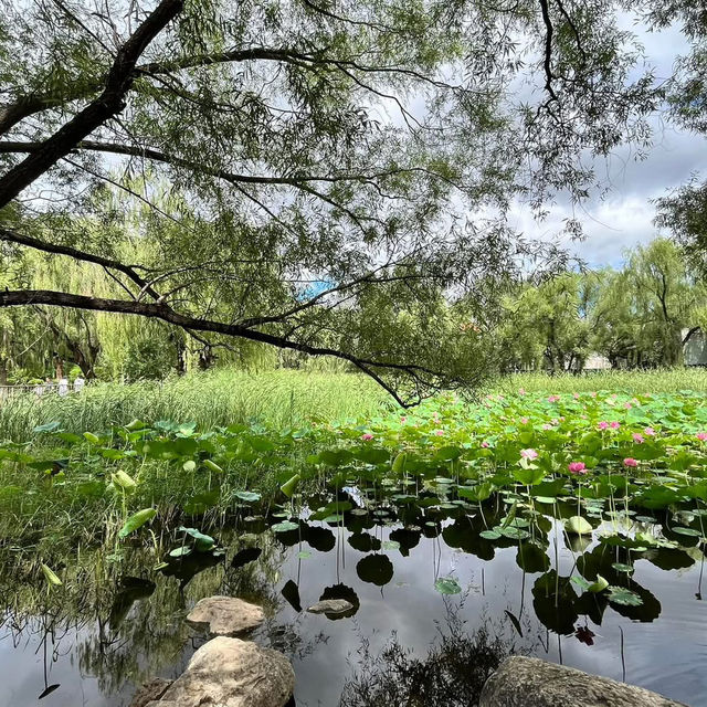  🌿 Exploring Hohhot’s Green Heart — Qingcheng Park (青城公园) 🌿