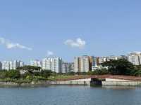 Coney Island: Singapore's Wild, Serene Escape! 🌿🐿️🚶‍♀️