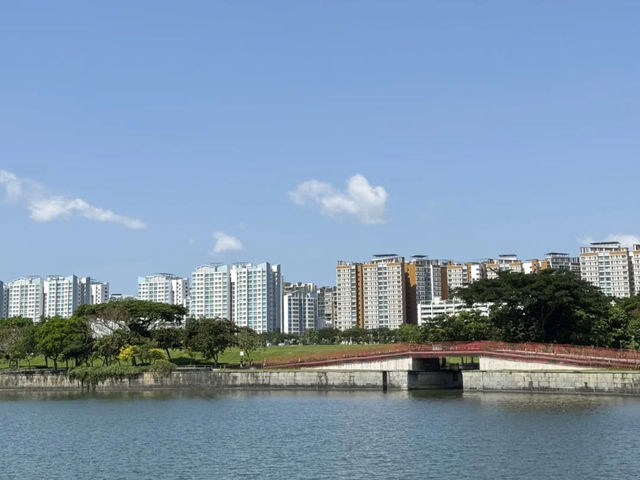 Coney Island: Singapore's Wild, Serene Escape! 🌿🐿️🚶‍♀️